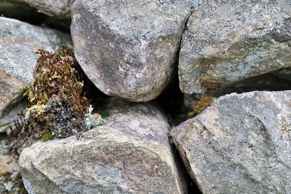 ▲▼長走風穴／Nagabashiri Wind Caves Eco-Museum。（圖／部落客VIVIYU小世界授權提供）