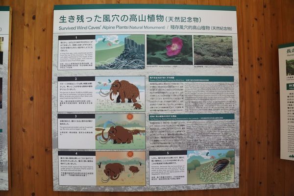 ▲▼長走風穴／Nagabashiri Wind Caves Eco-Museum。（圖／部落客VIVIYU小世界授權提供）