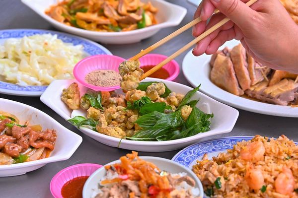 ▲▼原味鴨肉飯。（圖／部落客橘子狗愛吃糖授權提供）