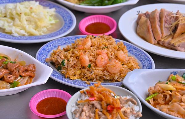 ▲▼原味鴨肉飯。（圖／部落客橘子狗愛吃糖授權提供）