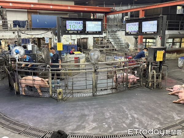 ▲雲林肉品市場豬價，今日中午前均價106.5元，比中元節前小跌3.4元。（圖／記者游瓊華翻攝）