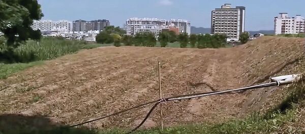 廖婦辯稱係因長期遭林男家暴，加上丈夫要將價值3千多萬元的土地過戶給姪子，引發自己不滿才找人教訓。（東森新聞提供）