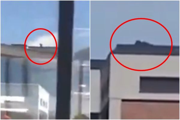 ▲▼             。（圖／翻攝自X）