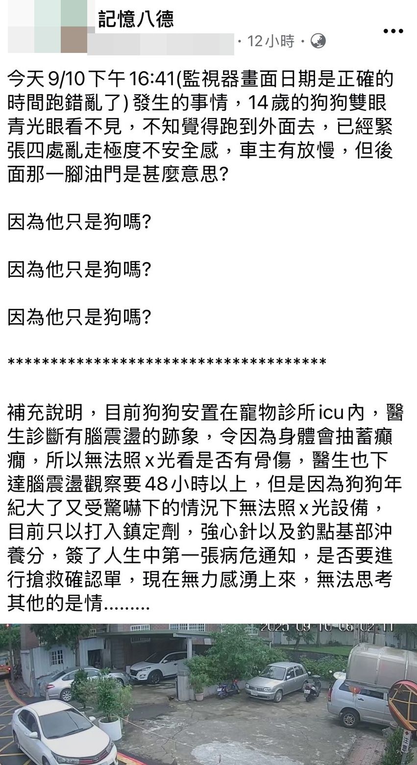 ▲有網友在臉書PO文，白色轎車在八德區和平路巷口處惡意輾壓黃色狗狗。（圖／翻攝自臉書《記憶八德》）