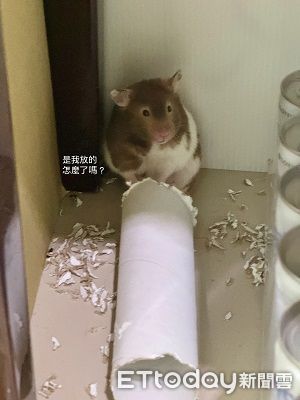 ▲。（圖／Threads@circlecircle0920提供，請勿隨意翻拍，以免侵權。）