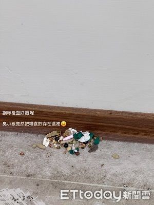 ▲。（圖／Threads@circlecircle0920提供，請勿隨意翻拍，以免侵權。）