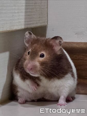 ▲。（圖／Threads@circlecircle0920提供，請勿隨意翻拍，以免侵權。）