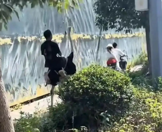 ▲▼雲南男子騎鴕鳥上路。（圖／翻攝自微博）
