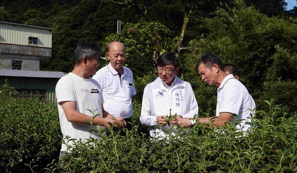 ▲坪林吳永春奪冠 新北茶師再添全國第13冠。（圖／新北市農業局提供）