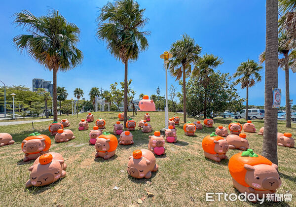 ▲▼台南卡比胖拉出沒。（圖／記者蔡玟君攝）