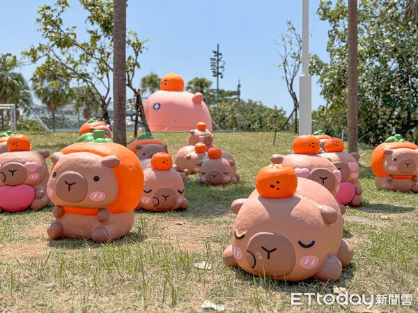 ▲▼台南卡比胖拉出沒。（圖／記者蔡玟君攝）