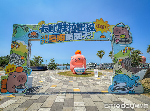 ▲▼台南卡比胖拉出沒。(圖/記者蔡玟君攝)