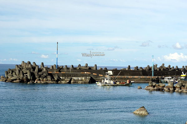 ▲▼台版淨土之濱美景「宜蘭東澳粉鳥林秘境」，蘇澳烏石鼻僻靜漁港。（圖／部落客WISELY提供）