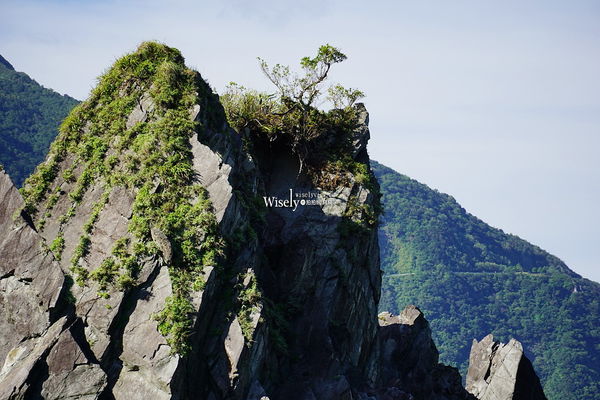 ▲▼台版淨土之濱美景「宜蘭東澳粉鳥林秘境」，蘇澳烏石鼻僻靜漁港。（圖／部落客WISELY提供）