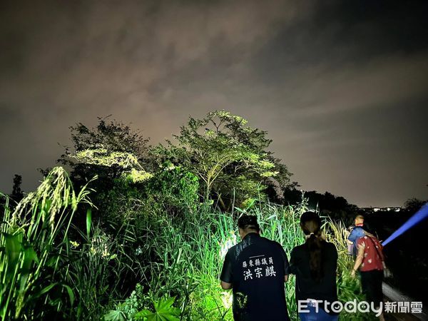 ▲洪宗麒服務處比照去年成立「獵龍小組」，捕抓綠鬣蜥綠。（圖／取自洪宗麒臉書）