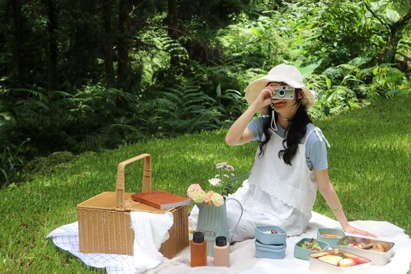 ▲台中新社薰衣草森林呼應「老派浪漫」風潮，首波祭出限時免費入園優惠。（圖／業者提供）