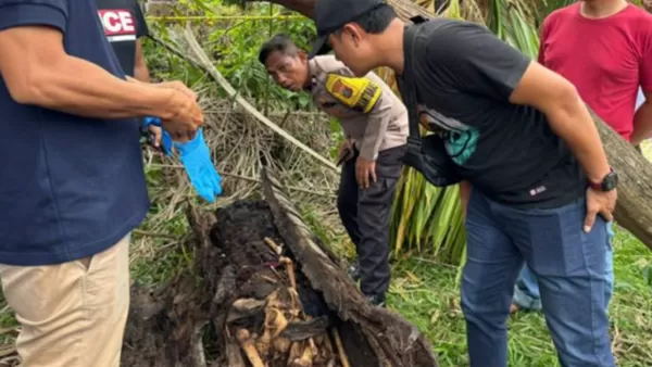 ▲▼        樹幹藏屍？枯樹裂縫驚見「完整人類骸骨」　衣物打火機都還在     。（圖／翻攝沙登貝達蓋縣警察局）