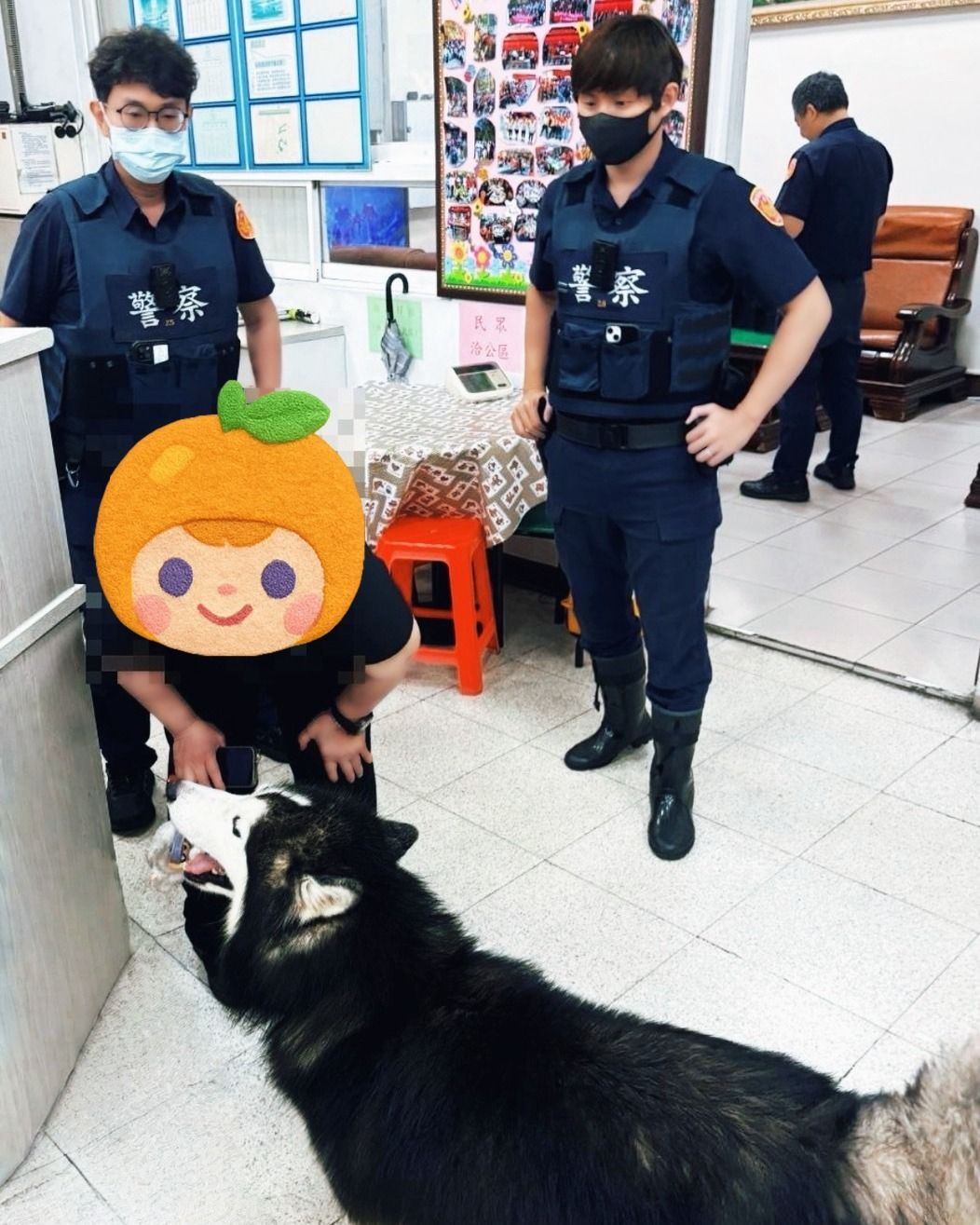 （圖／翻攝高雄市政府警察局臉書）