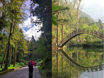 7層樓高空中走廊橫跨翠綠樹冠層！溪頭自然教育園區一日遊攻略