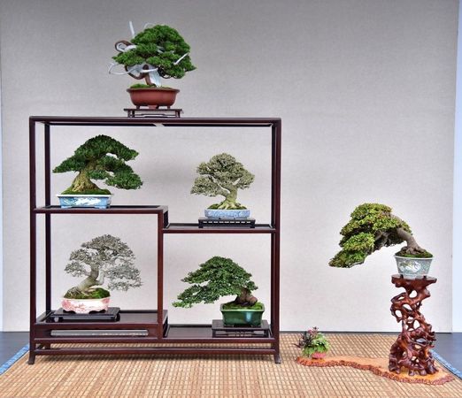 ▲「2025台北漢風盆景展」將於10月9日至10月12日在士林官邸公園開跑。（圖／公園處提供）