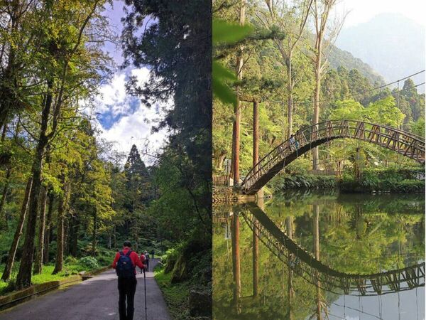 ▲▼溪頭森林遊樂區全攻略。（圖／ReadyGo提供）