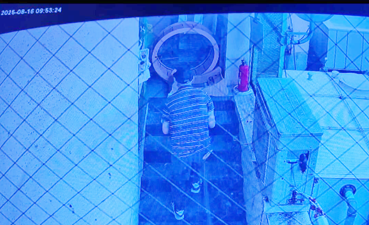 貓咖後門驚見一箱「幼貓屍體」箱內都是抓痕！　曾拚命求生
