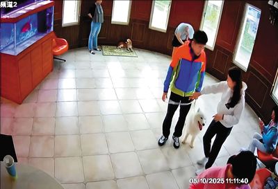 愛犬送貴族學校猝死！　代銷天王、民視前主播「曖昧情」意外曝光