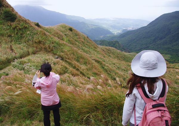 ▲陽明山古道秋芒活動，全程由陽明山國家公園解說員帶領走讀。（資料照／陽管處提供）
