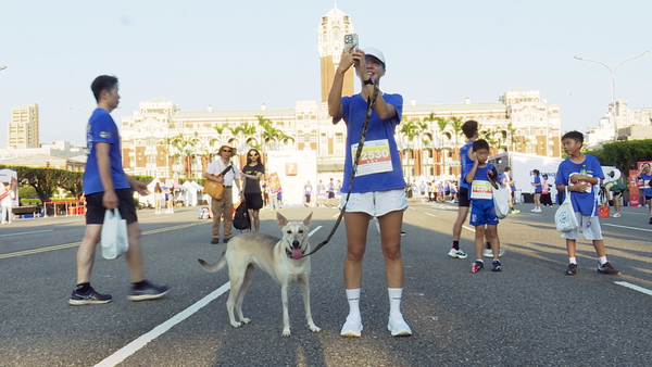 ▲▼2025 Panasonic台北城市路跑,凱達格蘭大道。（圖／記者姜國輝攝）