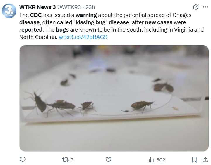 致命「接吻蟲病」蔓延美國8州！CDC示警恐成地方流行病　被咬恐致心臟衰竭