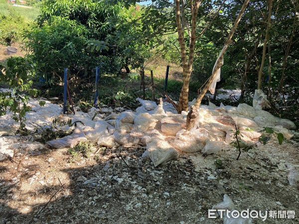 ▲新北市1家食品加工廠楊姓業者，帶著2名移工載運廢棄雞蛋殼，在通霄山區亂倒被警方查獲法辦。（圖／記者楊永盛翻攝）