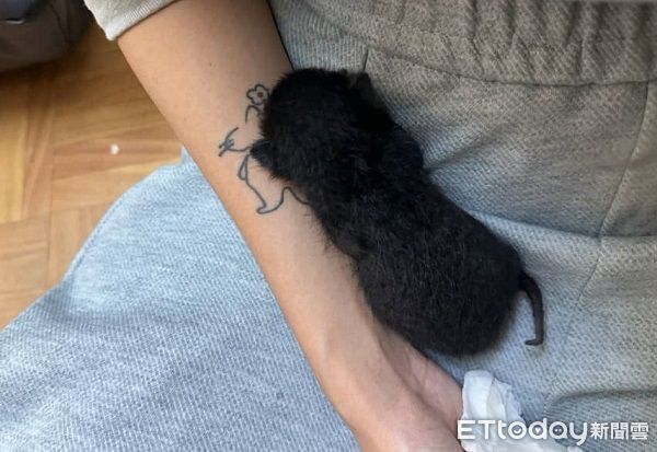 ▲。（圖／Threads@root.mu_提供，請勿隨意翻拍，以免侵權。）