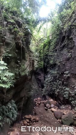 ▲▼山友獨攀東照山迷路　墜谷「重擊脊椎」受困打電話求救。（圖／記者高堂堯翻攝）