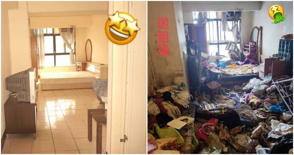 房東們擔心租賃專法過於保障租客，若是未來碰到「租霸」，不續租還得罰款，直喊不公。圖為在租屋處堆積雜物照片。（圖／截自爆廢公社臉書）