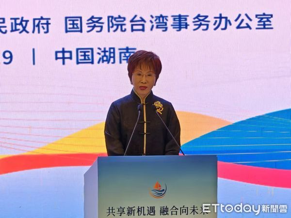 ▲▼ 第十七屆湘台會            。（圖／記者任以芳攝）