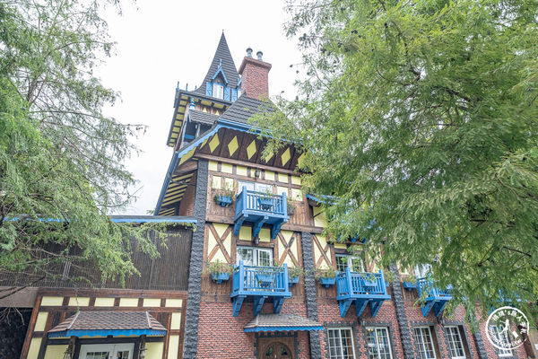 ▲▼品嚐夢幻甜點與歐洲風情，還是隱藏版落羽松秘境！（圖／部落客桃桃提供）