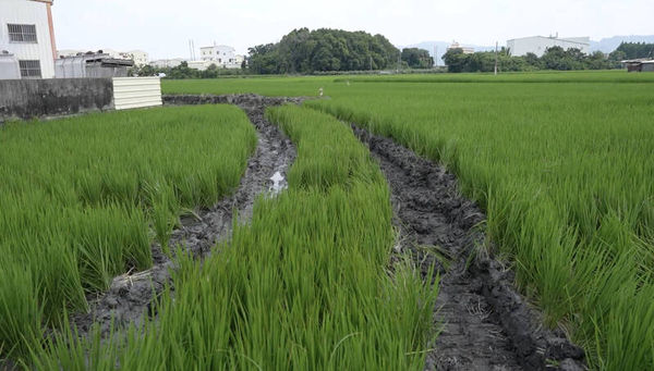 ▲田中鎮農水路怪手進場開挖。（圖／立委陳素月辦公室提供）