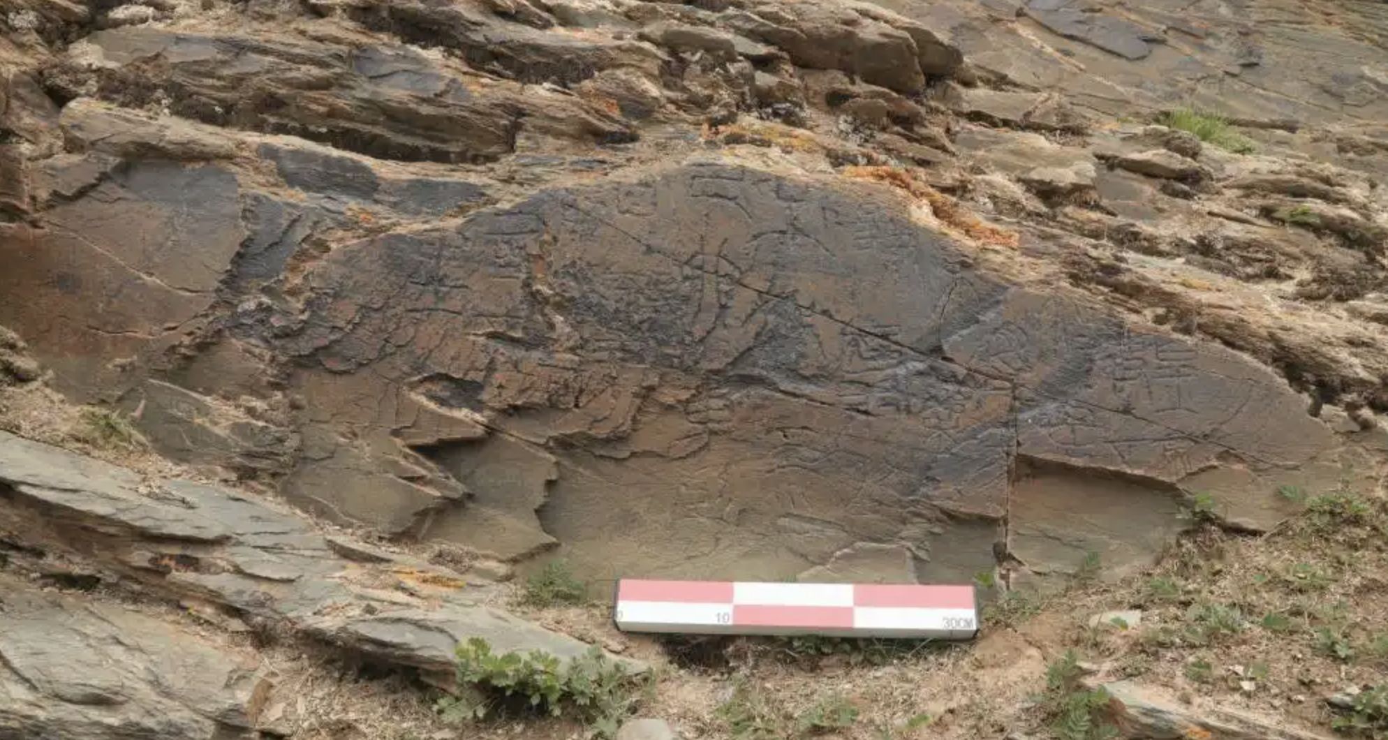 ▲秦代刻石遺跡。（圖／翻攝新華網）