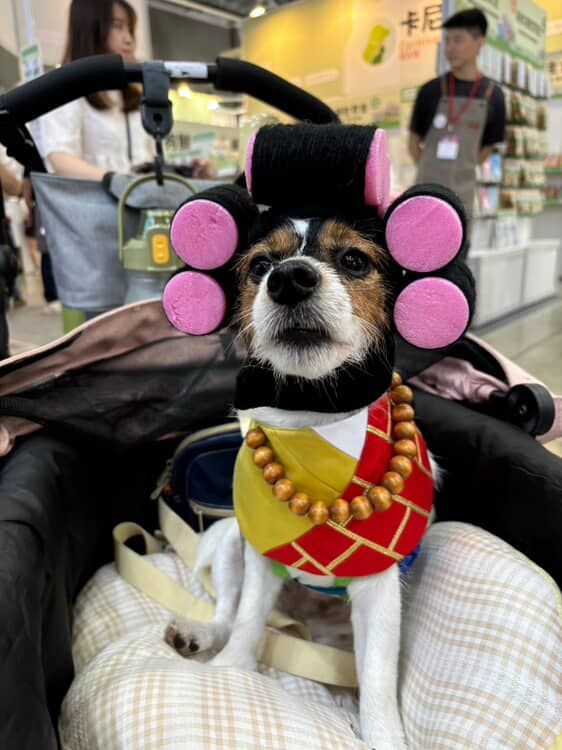 ▲致敬日藝術家！傑克羅素㹴尿墊當畫布　鋪滿圓點：留白間隙剛好。（圖／肉桂シナモン@cinnamon__flavor提供，請勿隨意翻拍，以免侵權。）