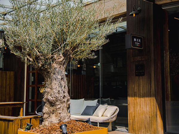 ▲▼臺中,青創,補助,創業,義之花,餐飲,窯爐,牛排。（圖／業者提供）