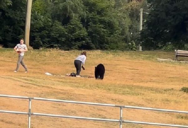 ▲。（圖／翻攝自IG／@thenature_aura）