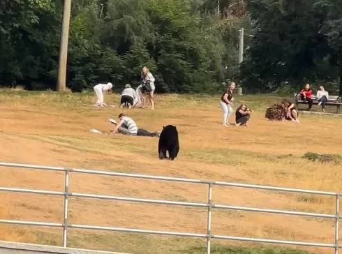 ▲。（圖／翻攝自IG／@thenature_aura）