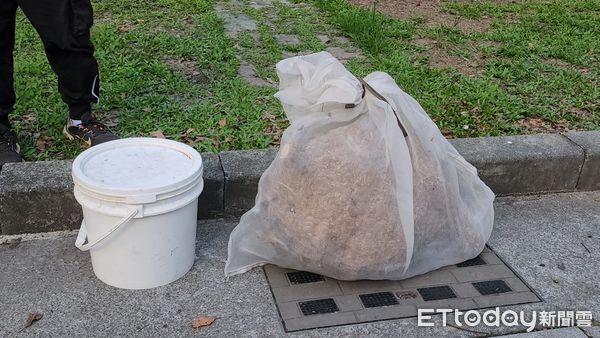 ▲埔里籃球場驚見黑腹虎頭蜂築巢。（圖／埔里鎮公所提供）