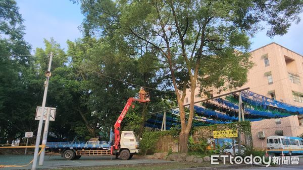 ▲埔里籃球場驚見黑腹虎頭蜂築巢。（圖／埔里鎮公所提供）