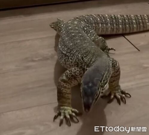 ▲。（圖／Threads@acool_86024提供，請勿隨意翻拍，以免侵權。）