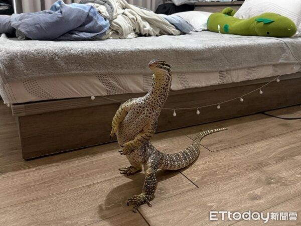 ▲。（圖／Threads@acool_86024提供，請勿隨意翻拍，以免侵權。）