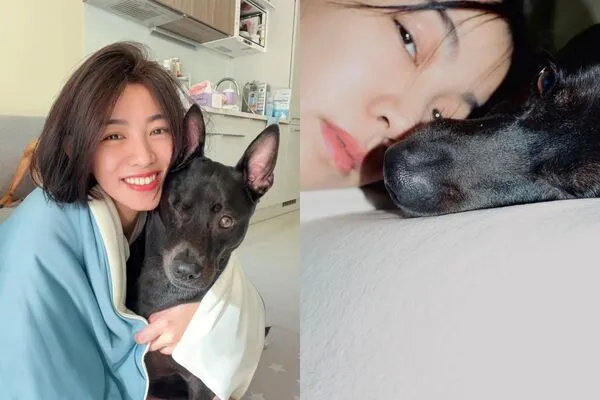 ▲▼米可白愛犬吃大牌飼料狂拉肚子　她驚見「整包布滿蟲卵」氣炸。（圖／翻攝自Facebook／米可白）