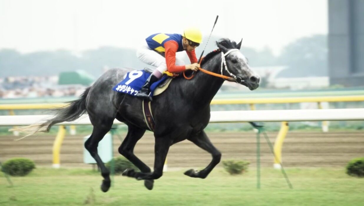 ▲▼賽馬娘。（圖／翻攝自推特）