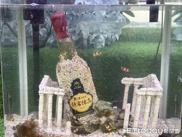 ▲金門酒廠推出「戰酒黑金龍特窖陳高7年醇 海藏特仕版」，以18米深海百日熟成，限量登場。（記者林東良翻攝，下同）