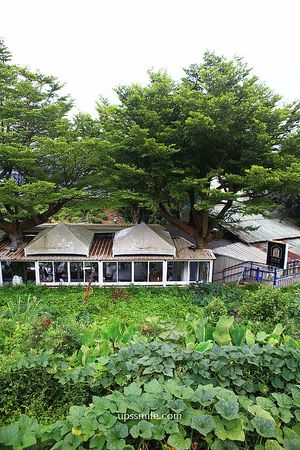 ▲▼貓空找茶屋found.your.tea。（圖／部落客UPSSMILE向上的微笑萍子 旅食設影授權提供）